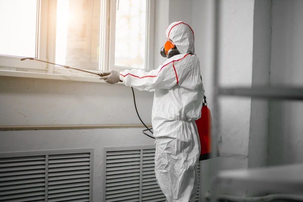 Professional mold remediation services in Mount Arlington, NJ